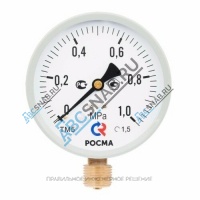 Манометр ТМ-510Р.00 (М2) радиальный Дк100мм 0-1,6 МПа G1/2" Росма 00000006818