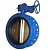 Затвор дисковый поворотный фланцевый BUV-FL226D0500G PN16 корпус и диск из чугуна GGG40, манжета EPDM с редуктором Abra